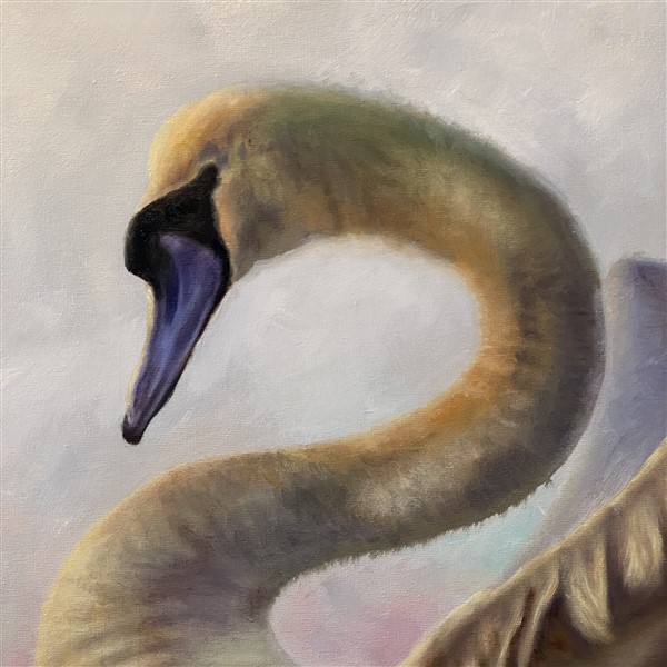 Swan Head Detail (600 x 600)